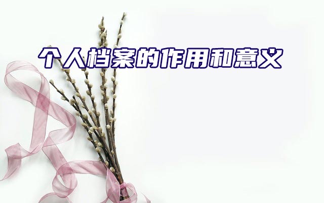 个人档案有哪些作用？又有哪些意义？