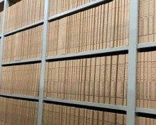档案整理工作的主要内容包括哪些
