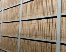 档案数字化建设的内容包括哪些