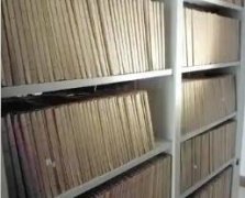 档案数字化工作的组织形式