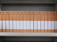 纸质档案和电子档案之间存在哪些方面的差异