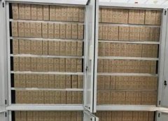 人事档案管理信息化有哪些主要措施